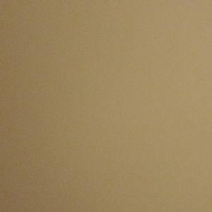 Meet your Posher, Kara